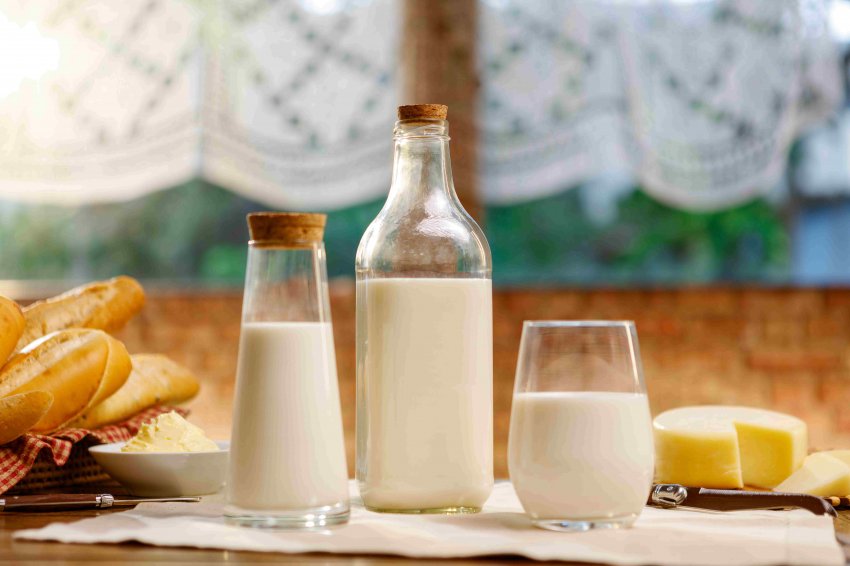 A crise na cadeia do leite afeta diretamente a agricultura familiar, levando milhares de produtores a abandonar a atividade