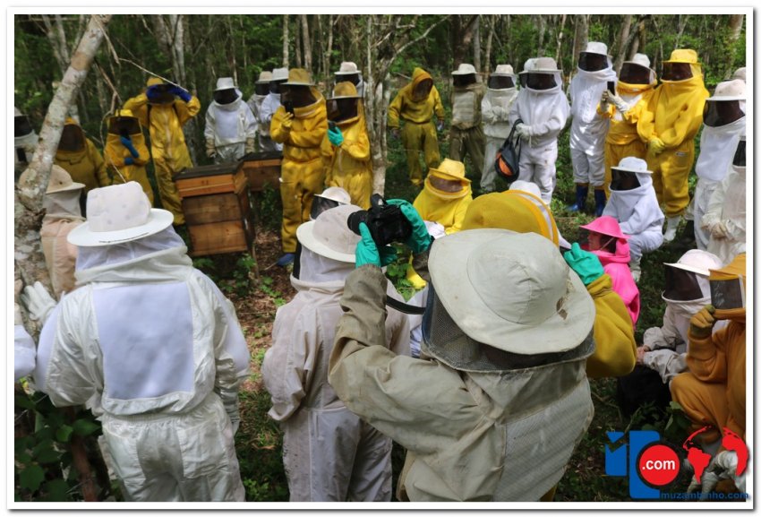 Visita técnica oportunizou conhecer os métodos utilizados nos apiários de Muzambinho