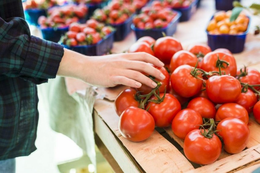 O preço do tomate comum voltou a cair, posteriormente a uma alta no mês de junho