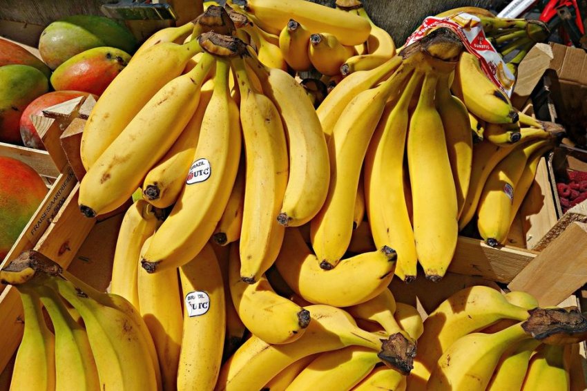 Produto que mais contribuiu para aumento foi a banana, que registrou um aumento de 61,2%