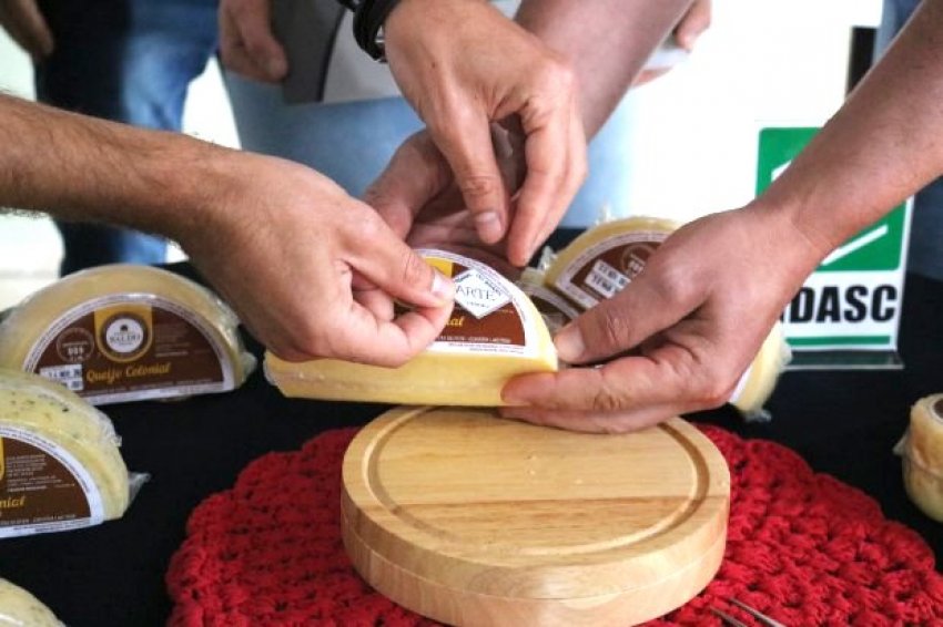 O queijo colonial produzido na Queijaria Famiglia Baldo, em Rio do Sul, é o segundo produto catarinense a receber o Selo Arte