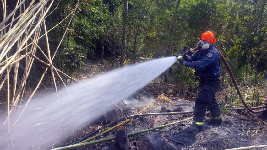 A incidência maior de incêndio em vegetação em SC, concentrando 25% das ocorrências registradas na semana passada, foram nas regiões de Chapecó e Xanxerê (Foto: Divulgação/LÊ)