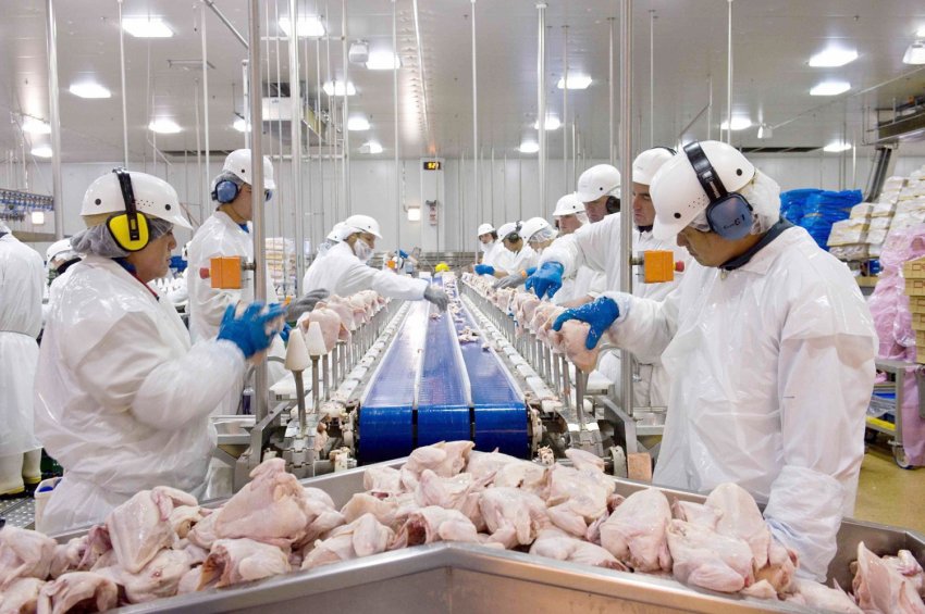 Em novembro, foram exportadas 124,7 mil toneladas, sendo que 92,6 mil toneladas são carne de frango