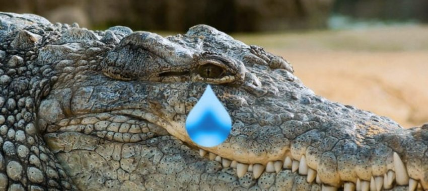 A falsa lágrima de um crocodilo