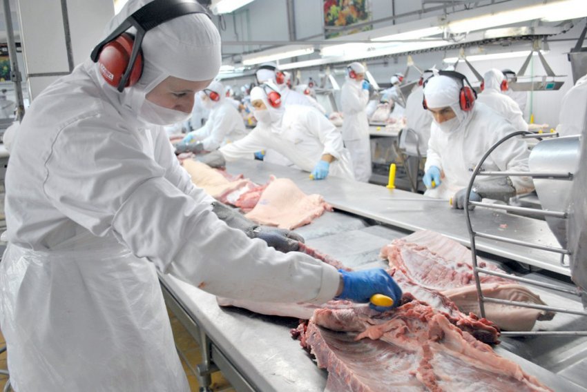 Santa Catarina é o maior produtor e exportador de carne suína do Brasil (Foto: Aurora Alimentos)
