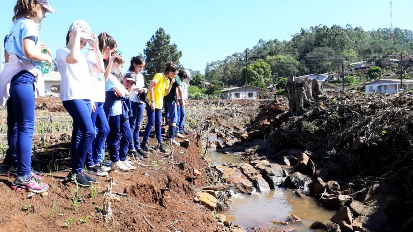 Ação organizada pela escola e a Epagri visa reflorestar às margens do rio
