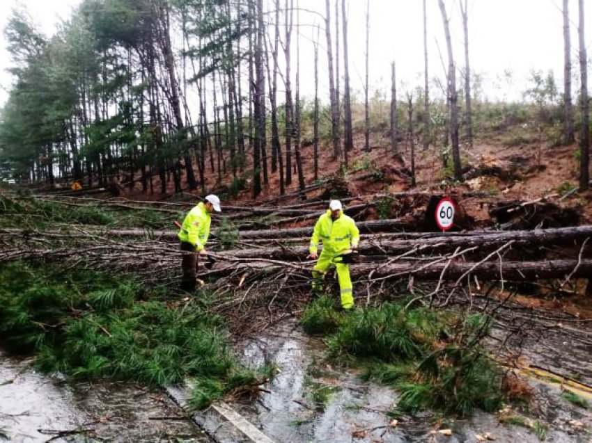 Passagem do ciclone causou mortes, quedas de árvores, destelhamentos e muitos prejuízos em todo o estado