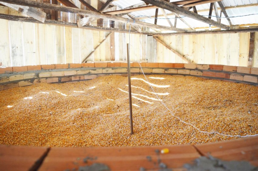 Primeiro silo que utiliza ar natural para secagem de grãos é construído no interior