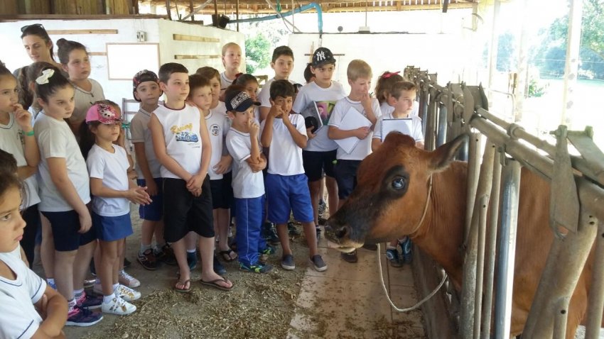 Alunos conheceram o processo de criação de bezerras e sobre a bovinocultura em Marema (Foto: Prefeitura de Marema)