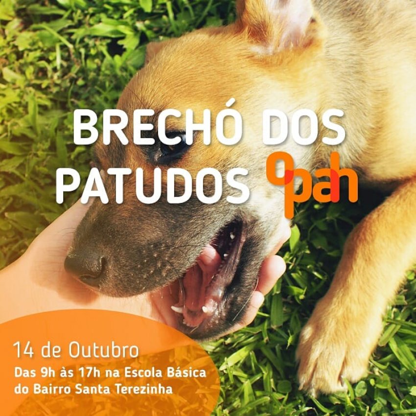 Brechó dos Patudos é realizado pela Opah e acontecerá no próximo domingo (14), no bairro Santa Terezinha, em Xaxim