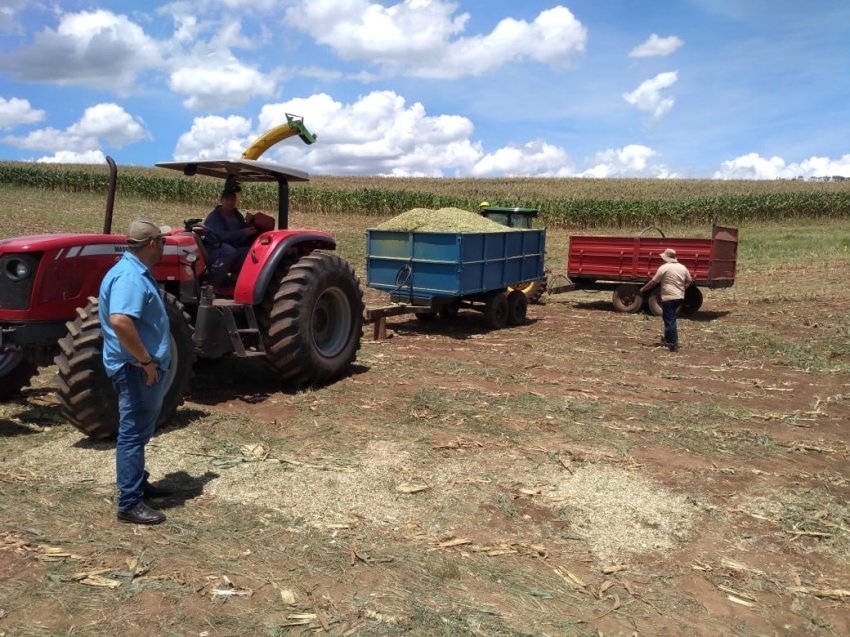 Segundo o IBGE, em Xaxim há aproximadamente 1.800 hectares de área destinada ao plantio de milho para silagem
