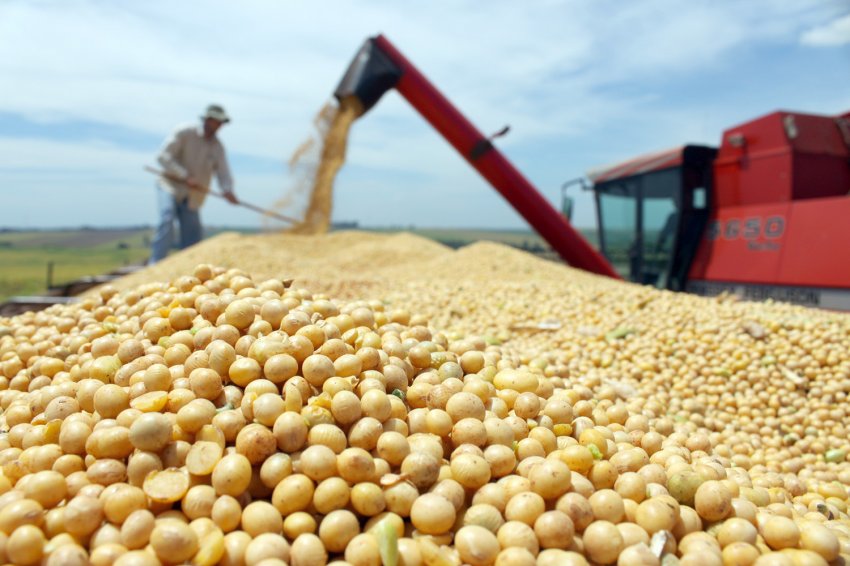 No mês passado, Santa Catarina exportou 161,5 mil toneladas do complexo soja
