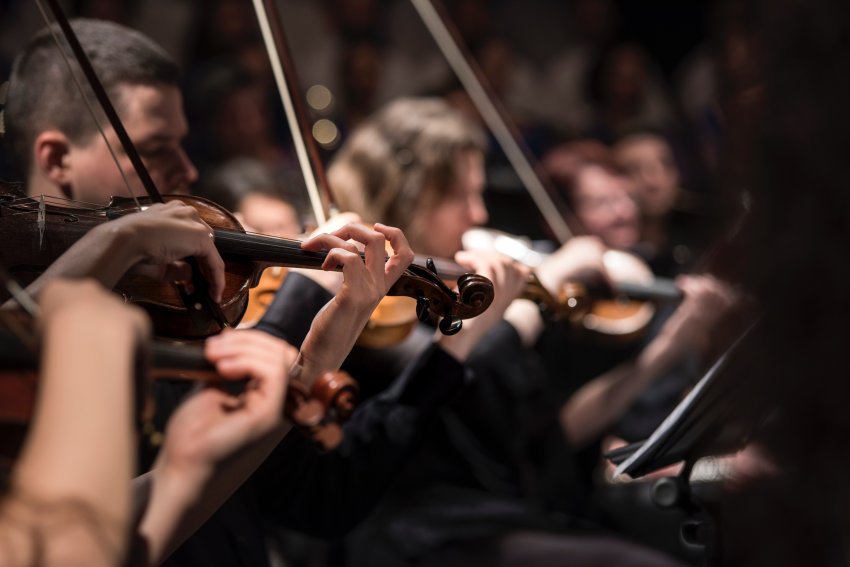 Orquestra contratará 17 instrumentistas de cordas - violino, viola, violoncelo e contrabaixo - e a lista da pré-seleção será divulgada até 1º de fevereiro