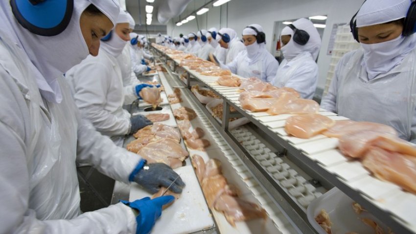 Carne de frango é o principal produto da pauta de exportações catarinense