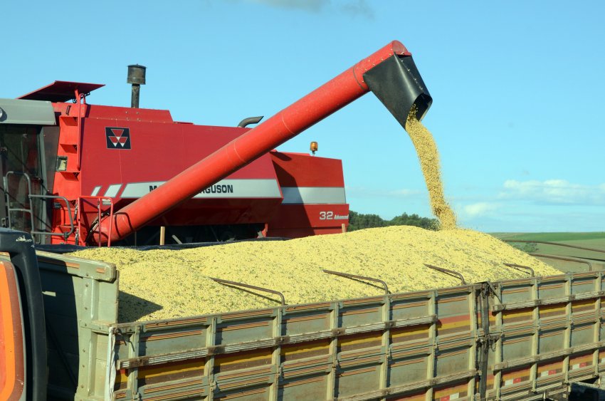Setor agropecuário respondeu por 72% das exportações catarinenses, com um faturamento que passa de US$ 2,87 bilhões