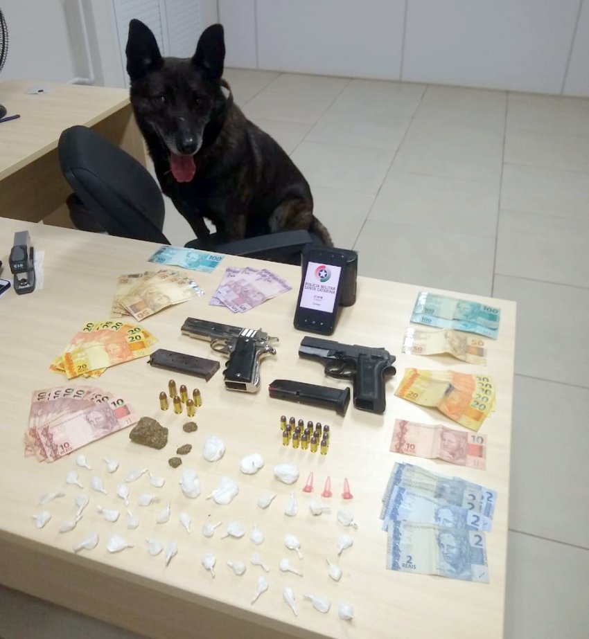 Um cão farejador foi utilizado na ocorrência da Polícia Militar