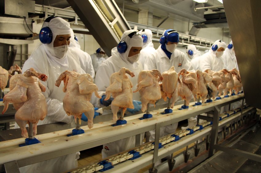 Unidade da Aurora de Xaxim suspendeu exportação de frango para China no dia 20 de agosto