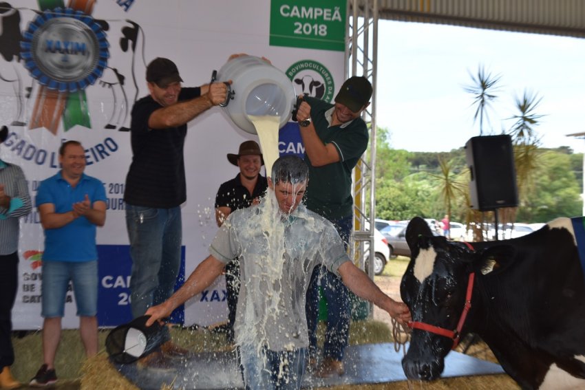 Os proprietários de animais com maior produção leiteira foram premiados com o Banho de Leite (Foto: Prefeitura de Xaxim)