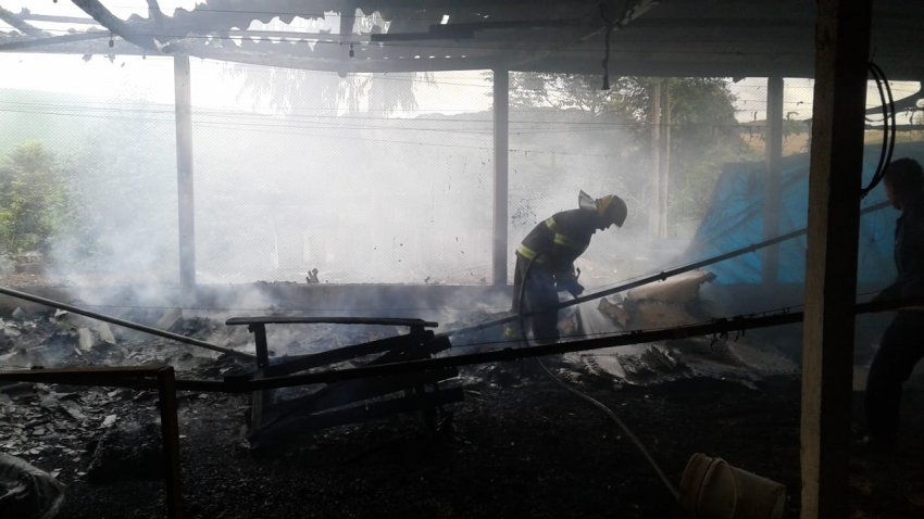 Incêndio aconteceu em um aviário de 2500 m², na Linha das Formigas (Foto: Divulgação/LÊ)